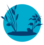 Teichbau & Gartengestaltung