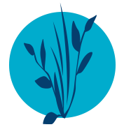 Wasserpflanzen & Naturdeko